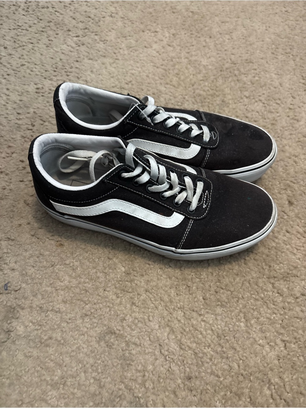Vans Black and White Low-Top Skate Sneakers